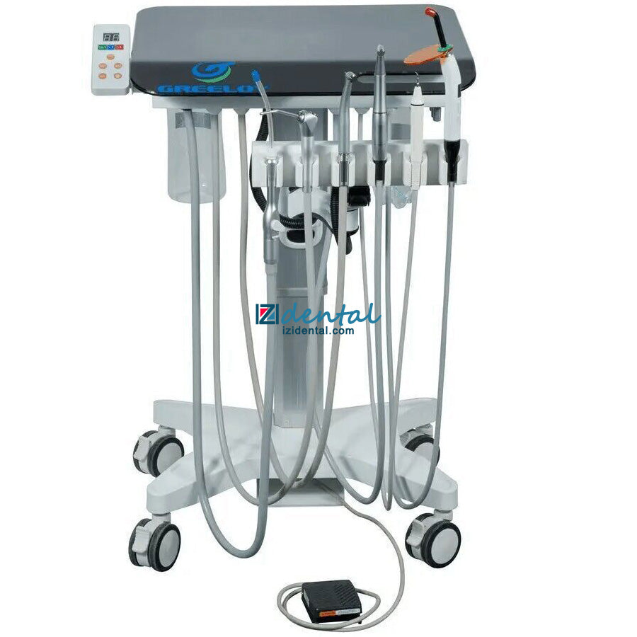 Greeloy GU-P302S Mobile Dental Delivery Unit Dental Chair Delivery System with Electric Dental Motor