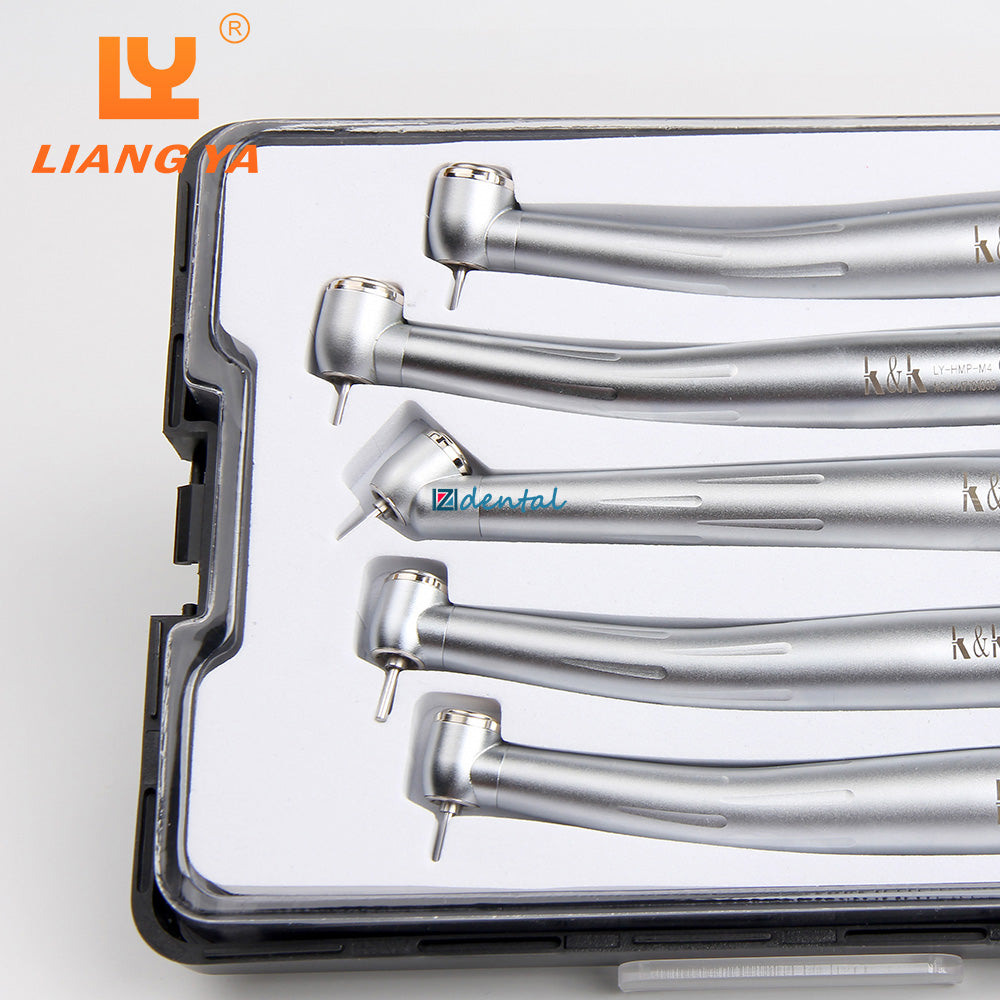 LY H502 High Speed Turbine Handpiece Kit Torque/Standard/45 Degree Head 2/4 Holes